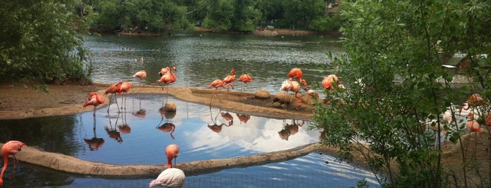Московский зоопарк is one of Сады и парки Москвы.