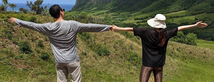 Kualoa Ranch is one of Hawaii Honeymoon.