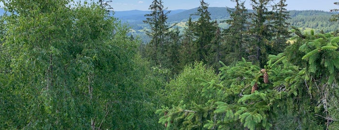 Vintířova skála is one of Sumava Bohmerwald Bohemian forest (Czech Republic).