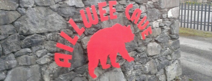 Ailwee Caves is one of Locais curtidos por Éanna.
