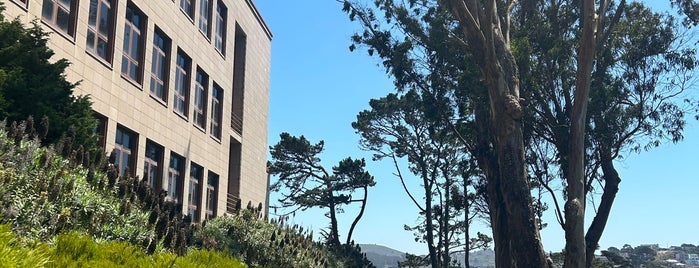 City College of San Francisco, Ocean Campus is one of 47* hills of San Francisco.