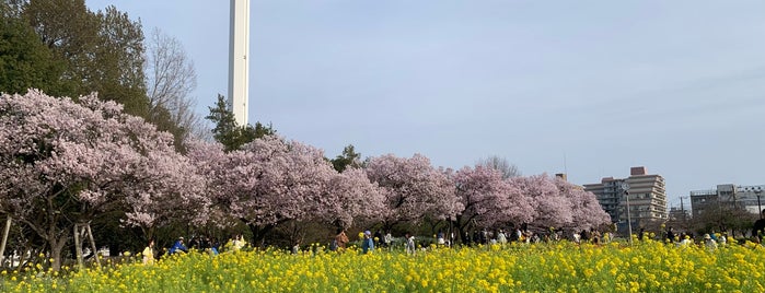 蘆花恒春園 (蘆花公園) is one of JPN Tokyo.