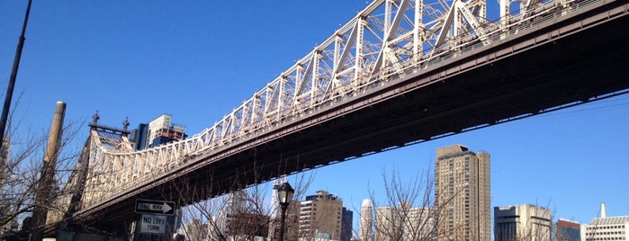 Queensboro Bridge Pedestrian & Bike Path is one of Things To Do in Queens, NY.