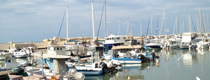 Jaffa Port is one of Israel.