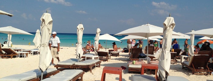 Mamita's Beach Club is one of Cancún - R. Maya.