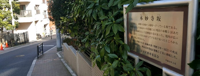 スリバチ本郷編