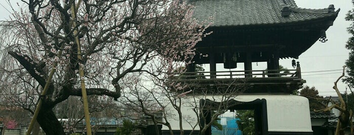 広福寺 is one of 武蔵国十三仏霊場.