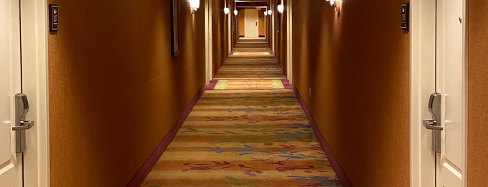 Homewood Suites by Hilton is one of Hotels.