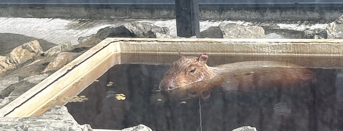 石狩温泉 番屋の湯 is one of 石狩管内(札幌市内・近郊)の温泉.