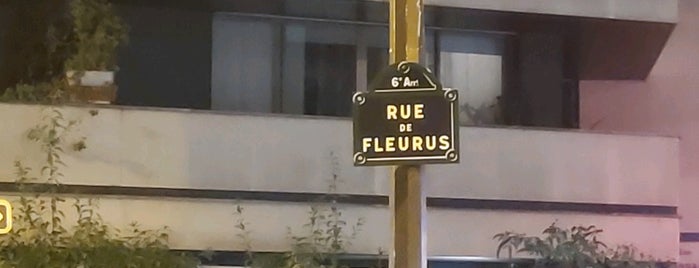 Rue de Fleurus is one of Paris.