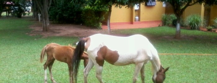 Santana's Ranch is one of Lugares guardados de Sandra.