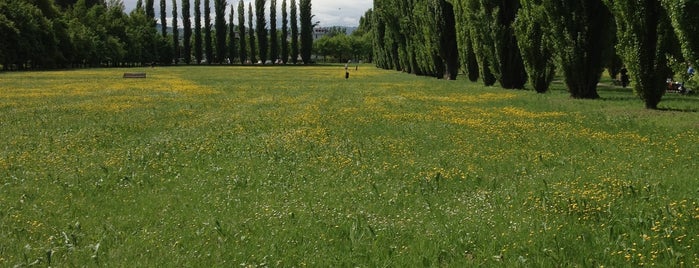 Parco Ducale is one of Sassuolo e dintorni.