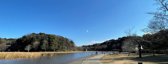 千駄堀池 is one of 21世紀の森と広場.