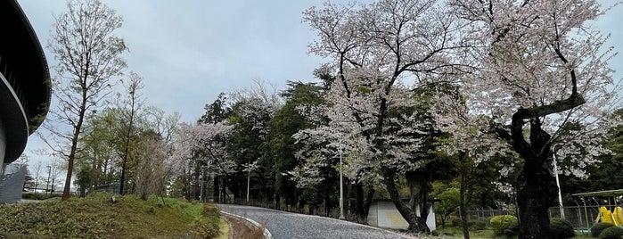 Chiba Park is one of 千葉に行ったらココに行く！ Vol.3.