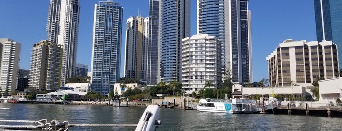 Whales In Paradise is one of สถานที่ที่ Lauren ถูกใจ.