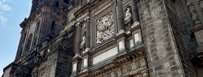 Catedral Metropolitana de la Asunción de María is one of Mexico City.