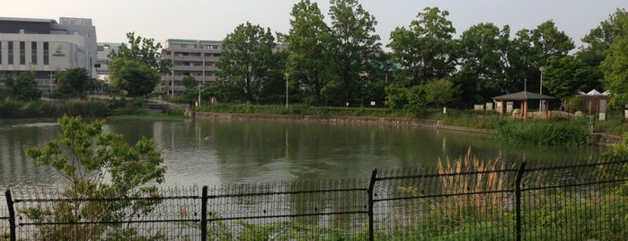羽鷹池公園 is one of 公園 in 豊中市.
