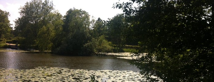 Wilhelmsburger Inselpark is one of Tempat yang Disimpan Evelyn.