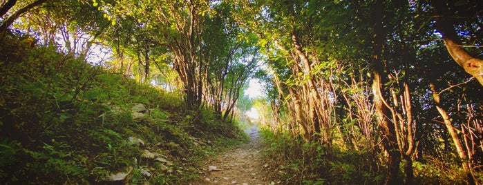 Dolly Sods is one of Explore nature.