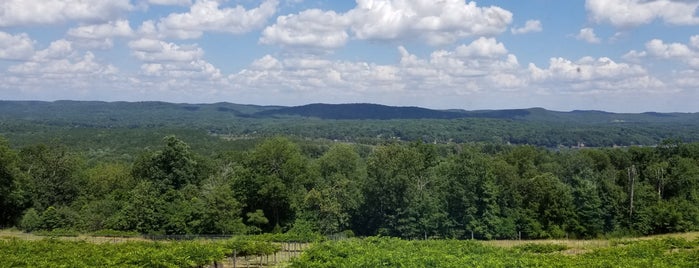 Stony Mountain Vineyard is one of Lugares favoritos de Travis.