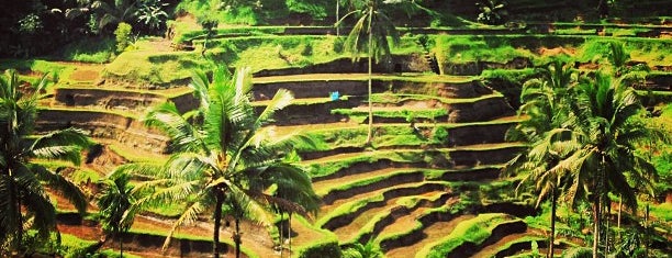 Tegallalang Rice Terraces is one of Trip to Bali, Indonesia.