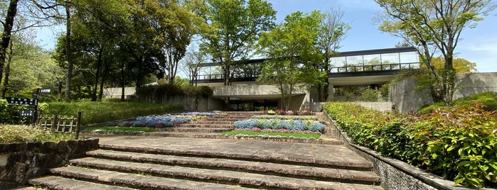 愛知県緑化センター is one of 愛知県の桜スポット.