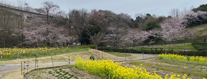 鞍ケ池公園 is one of Japan.
