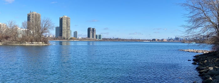 Humber Bay  Butterfly Habitat is one of places to walk.