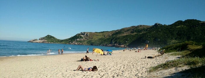 Praia Mole is one of Brazil.