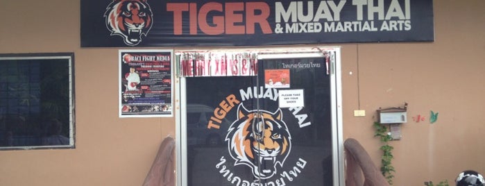 Tiger Muay Thai & MMA Training Center is one of Thailand TOP places.