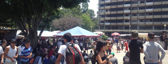 Tianguis Cultural Agua Azul is one of Guadalajara.