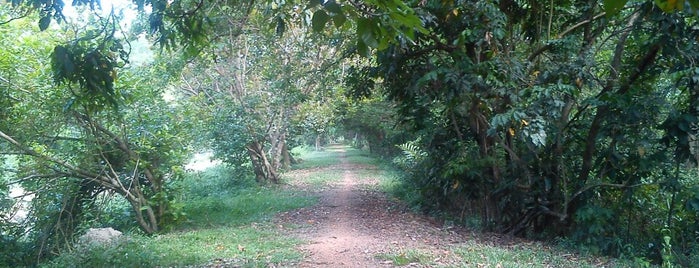 Taman alam is one of Best places in Kuala Selangor, Malaysia.
