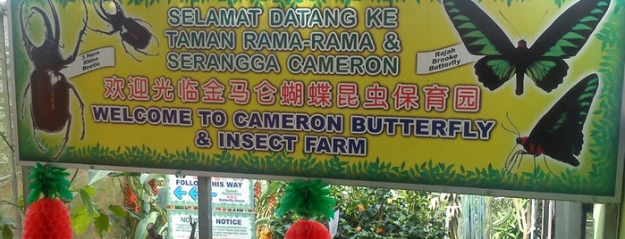 Butterfly Farm is one of Cameron Highlands.