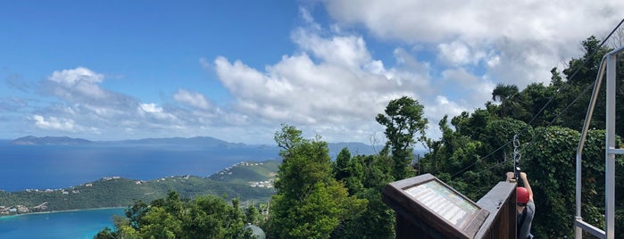 Tree Limin' Extreme Zipline Tour is one of BEST OF: St. Thomas.