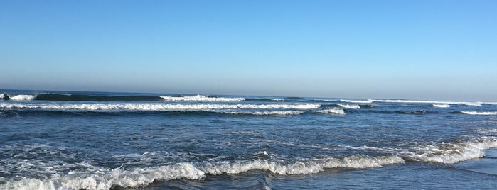 Blue fish Club De Playa is one of Semana Santa.