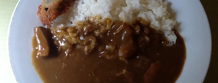 Shoeitei is one of TOKYO-TOYO-CURRY.