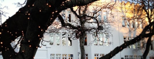 Íslenska´s Maple "Christmas" tree / Jólahlynur Íslensku is one of สถานที่ที่ Lizzie ถูกใจ.