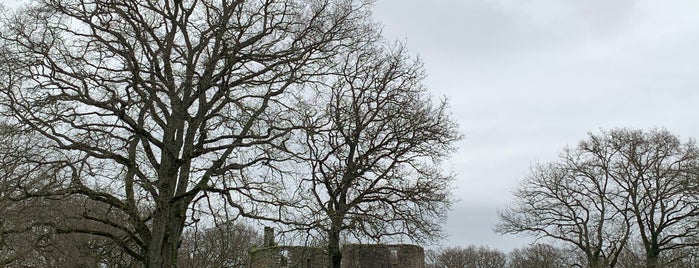 Château de Ranrouët is one of สถานที่ที่ eric ถูกใจ.