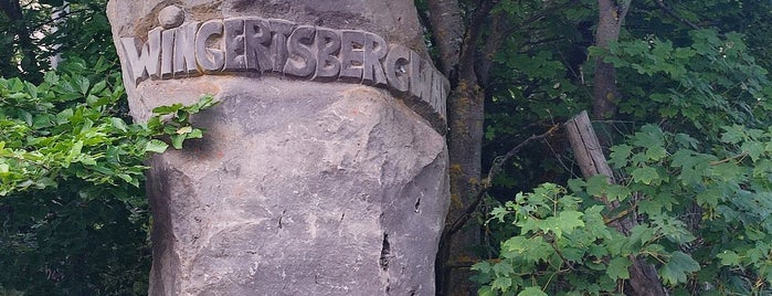 Wingertsbergwand is one of Interesting Places.