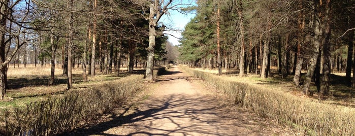 Александрийский (Пролетарский) парк is one of Санкт-Петербург.