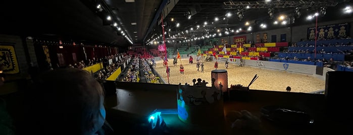 Medieval Times Dinner & Tournament is one of Andrew 님이 좋아한 장소.