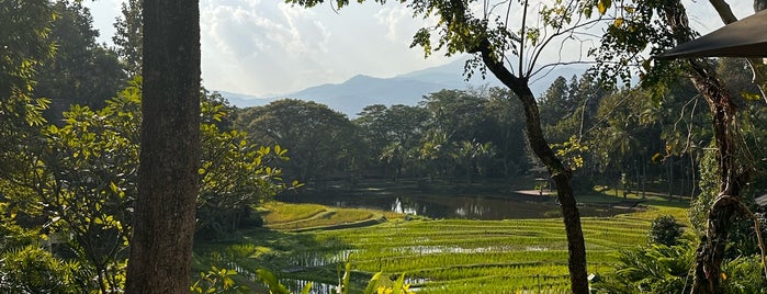 Four Seasons Resort Chiang Mai is one of Good.