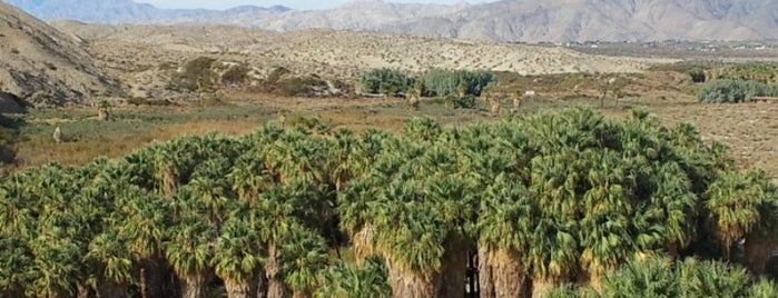 Coachella Valley Preserve is one of Palm Springs.