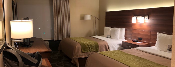 Comfort Inn & Suites is one of 세상의 모든 호텔.
