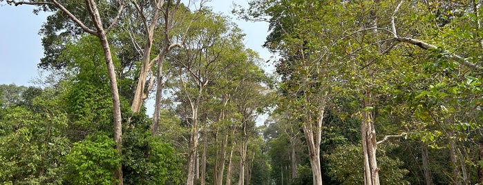 Angkor Thom (អង្គរធំ) is one of 海外.