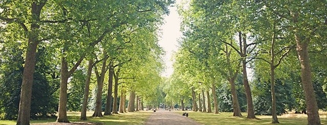 Hyde Park is one of Curious London.