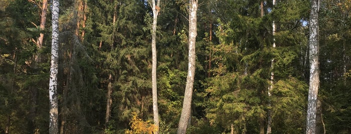 Мочулки is one of Места отдыха на природе.