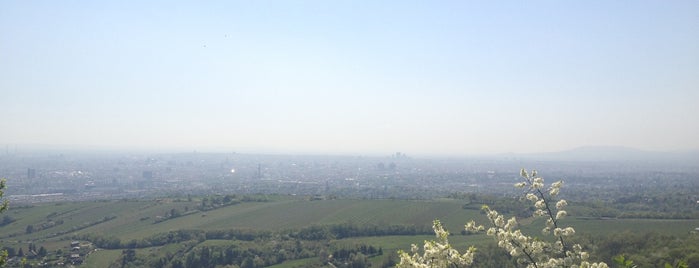 Leopoldsberg is one of Best sport places in Vienna.
