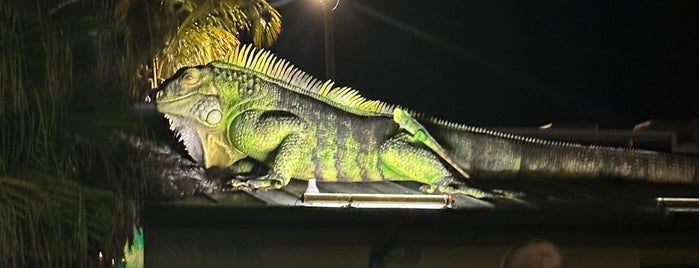 Green Iguana Bar & Grill is one of Tampa To-Do List.