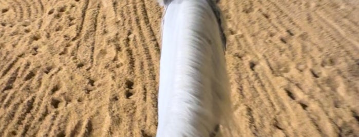 مركز منيرا للخيول is one of Horseback Riding for women in Riyadh.